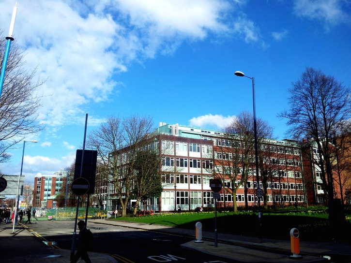 Telkom University Jakarta, Pusat Inovasi Muda